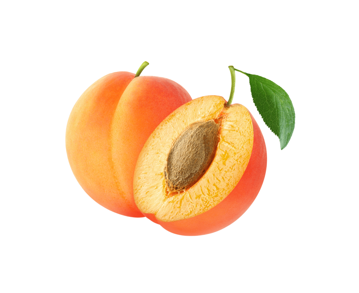 apricot-transparent-background-free-png